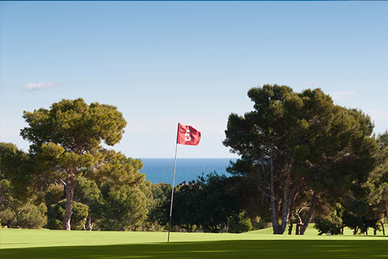 Golf Courses in Costa Blanca 