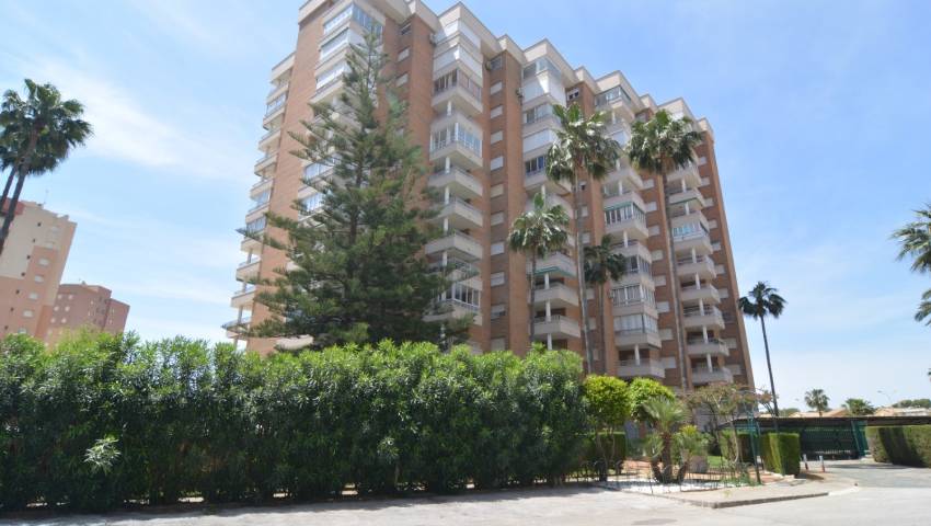 Apartment - Resale - Dehesa de Campoamor - Dehesa de Campoamor