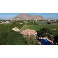 Country Property - перепродажа - Orihuela - FL-42011
