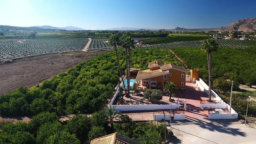 Finca - Revente - Orihuela - Correntías Medias