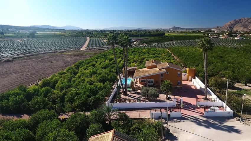 Finca - Revente - Orihuela - Orihuela