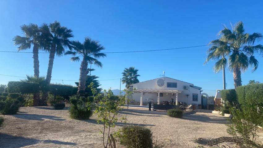 Finca - Wederverkoop - Dolores - Dolores