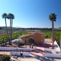 Finca - Wiederverkauf - Orihuela - VM-87455