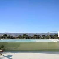 Penthouse - Nouvelle construction - Jacarilla - 01-36035