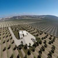 Villa  - New Build - Algorfa - VO-90802