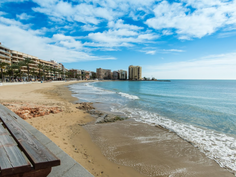 Ontdek een verscheidenheid aan luxe villa's in Torrevieja om te zonnen, te wandelen op het strand en te genieten van de vrije tijd.