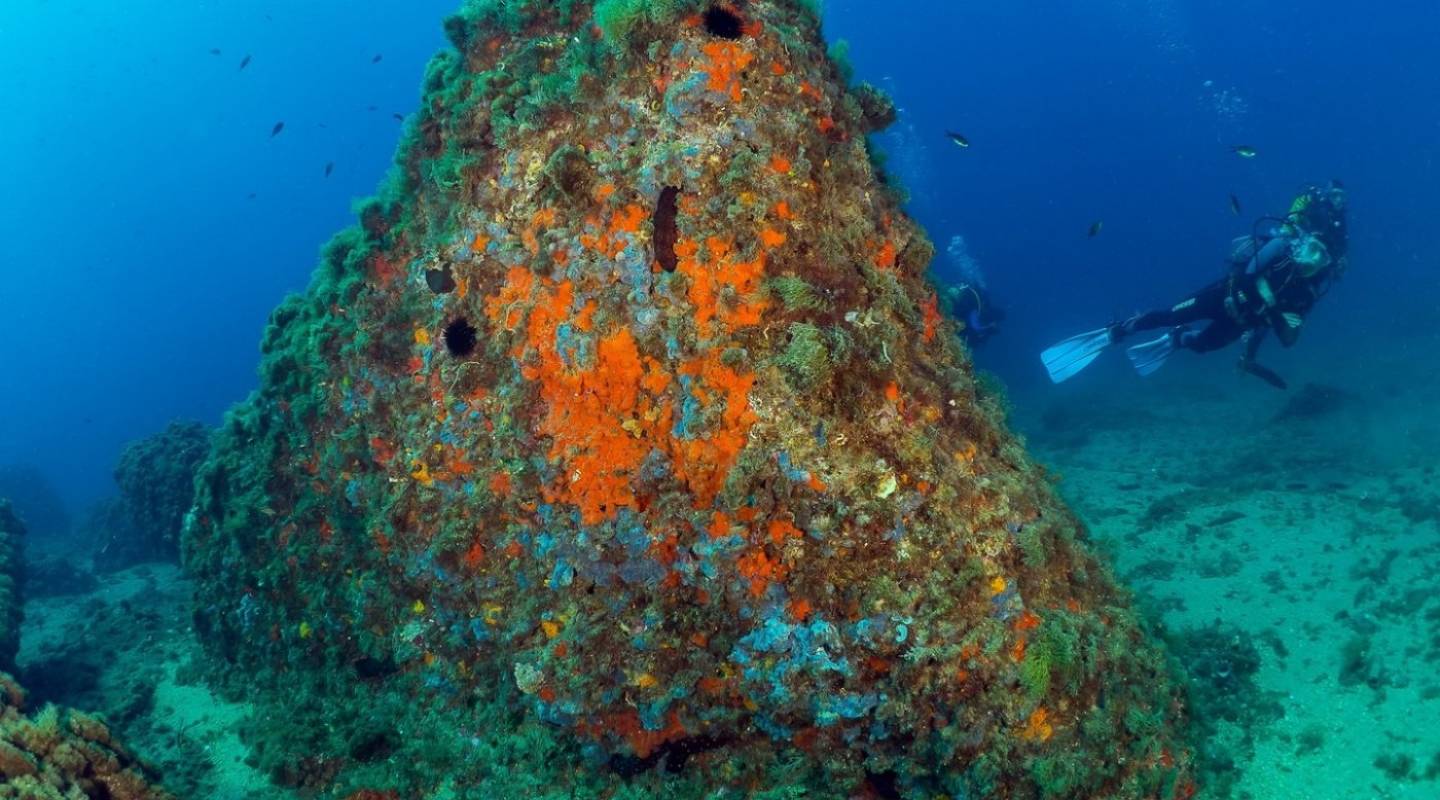 Nybyggeri - ferielejligheder - Aguilas - Isla Del Fraile