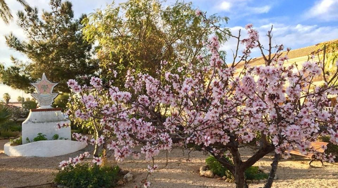 Nybyggeri - Villa - Los Urrutias - Estrella De Mar