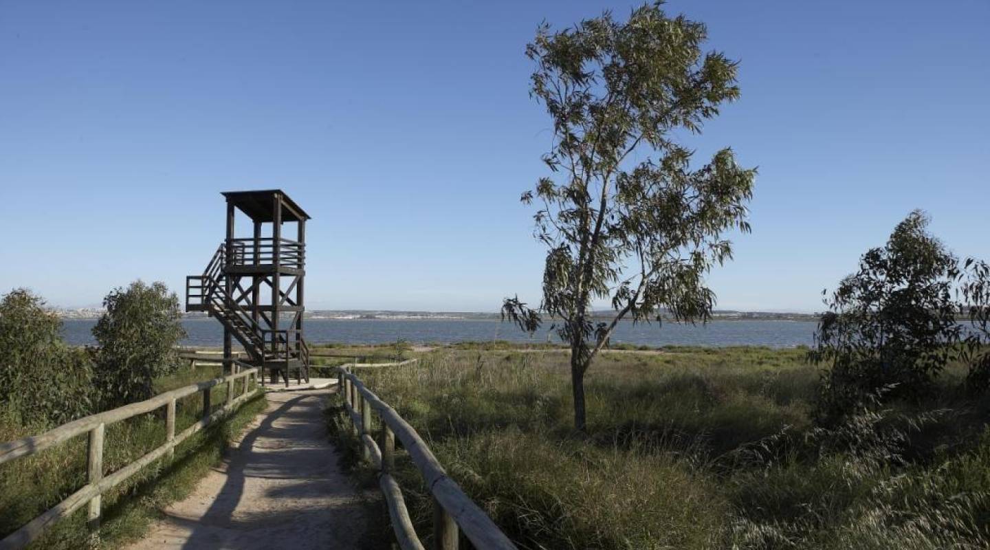 Новая сборка - Бунгало - Torrevieja - Torrejón