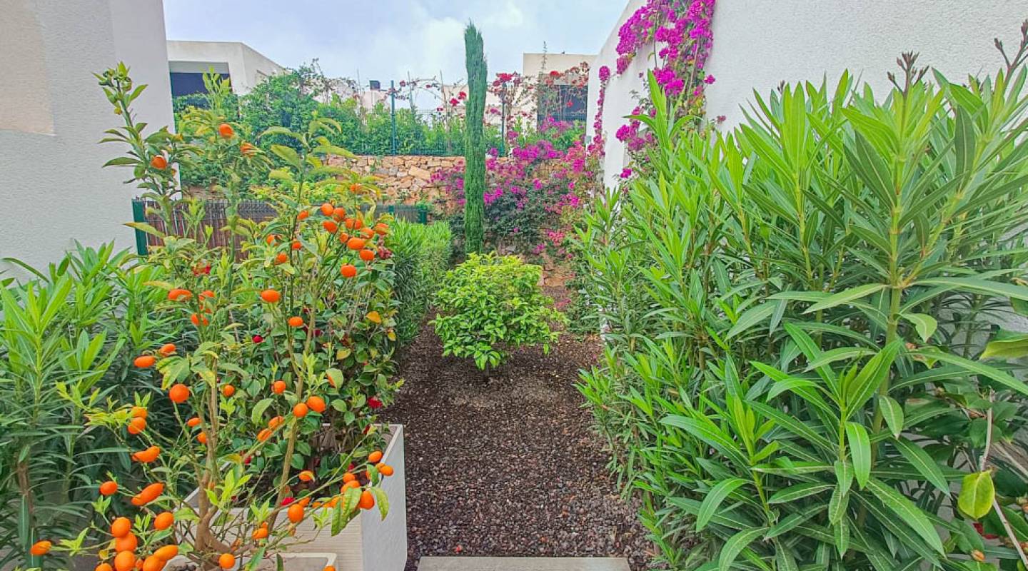 Resale - Villa  - La Finca Golf - La Finca Golf and Spa Resort