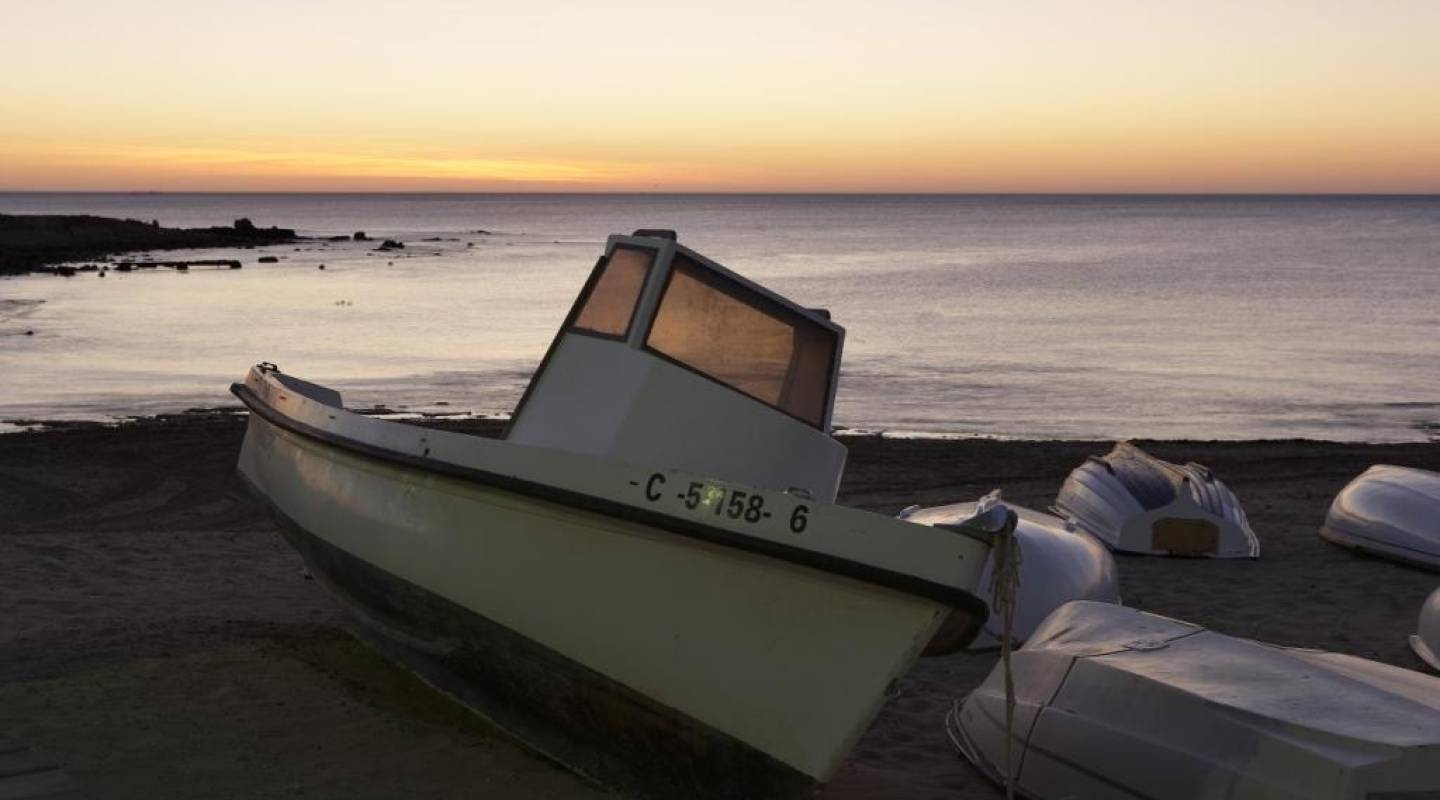 Nybyggnad - Bungalow - Torrevieja