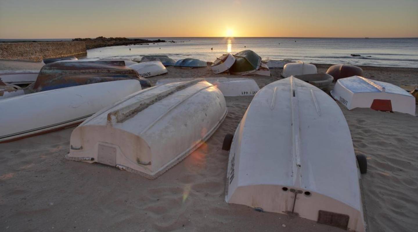 Nybyggnad - Bungalow - Torrevieja