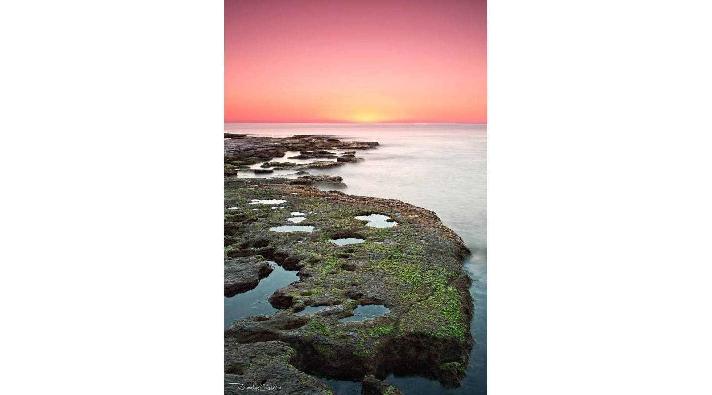 Nybyggnad - Bungalow - Torrevieja