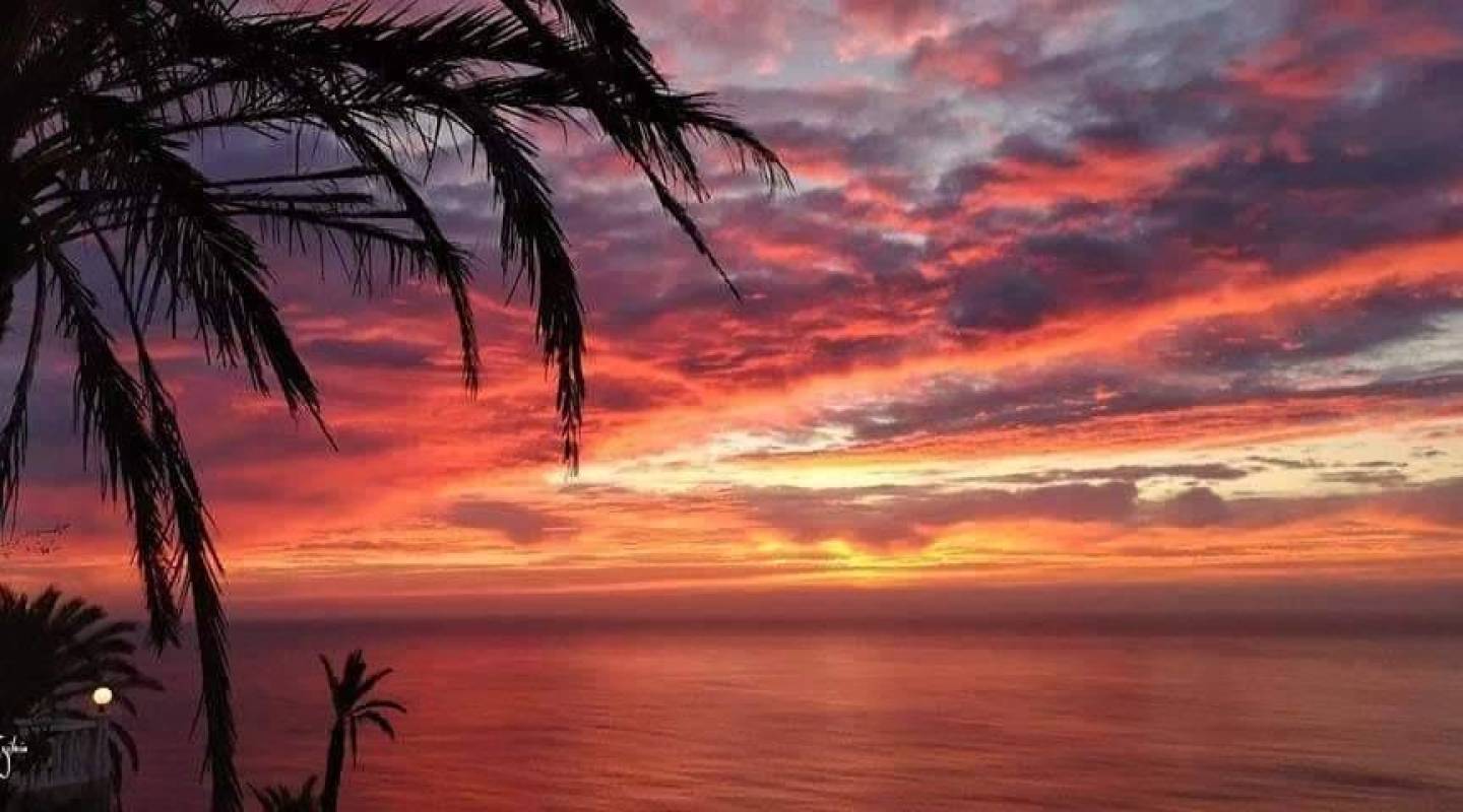 Nybyggnad - Bungalow - Torrevieja