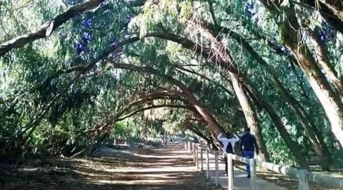 Nybyggeri - Bungalow - Torrevieja - Altos del Sol