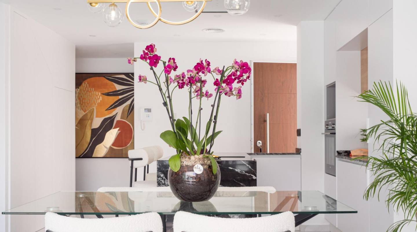 Nybyggeri - Villa - Murcia