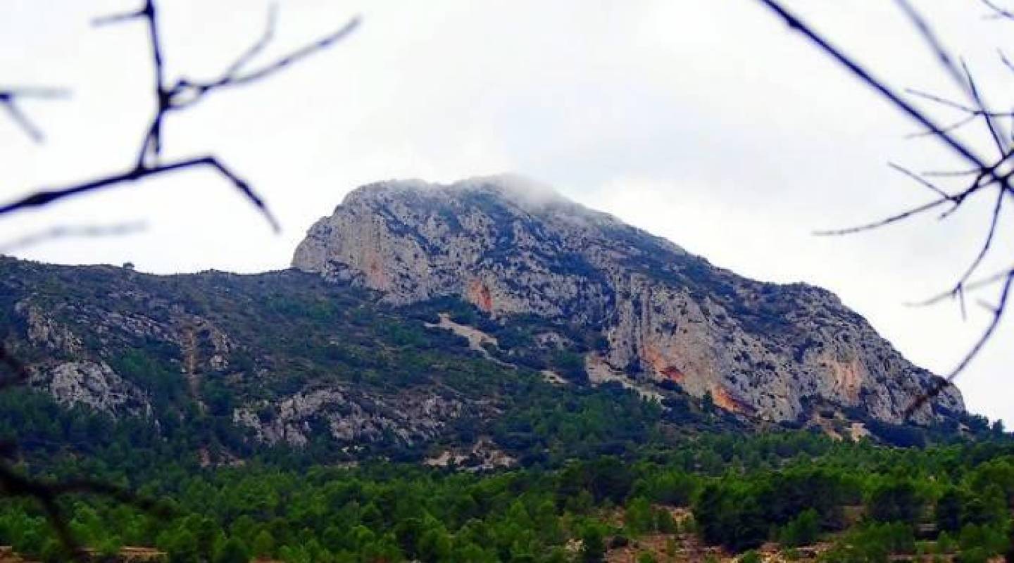 New Build - Villa  - Benijofar - Alicante