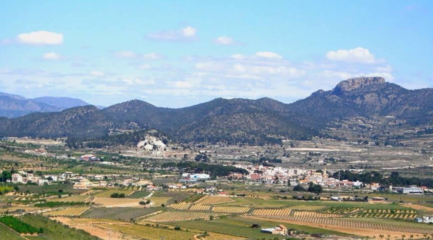 New Build - Villa  - Benijofar - Alicante