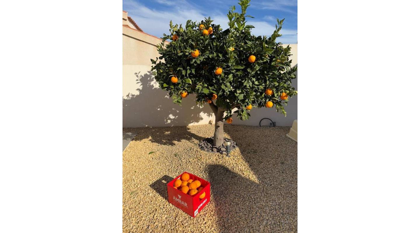 videresalg - Villa - Ciudad Quesada