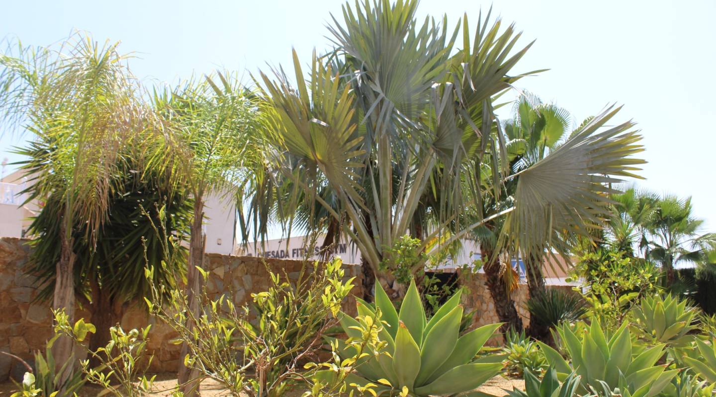 Wederverkoop - Villa - Ciudad Quesada