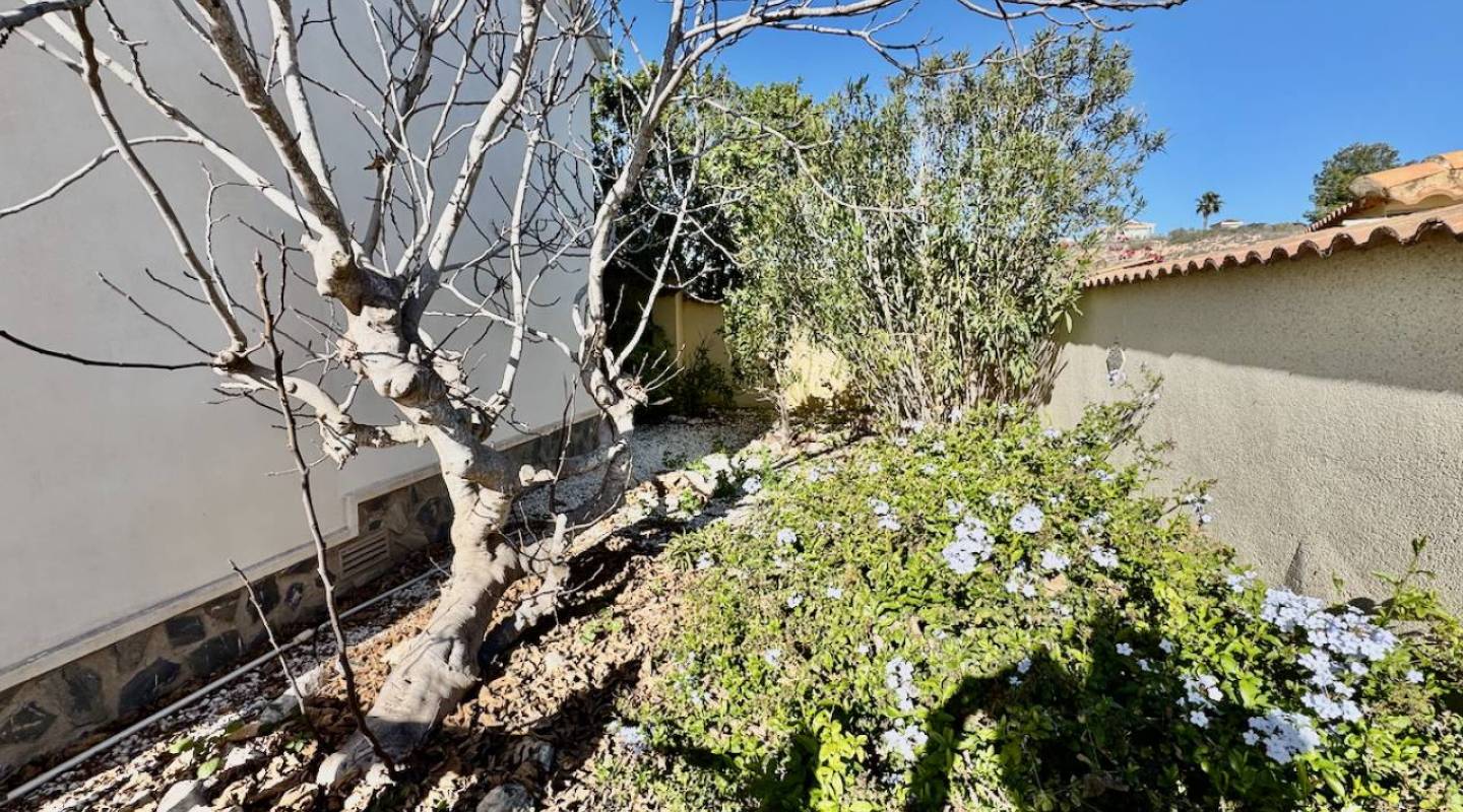 videresalg - Villa - Ciudad Quesada - Lo Pepin