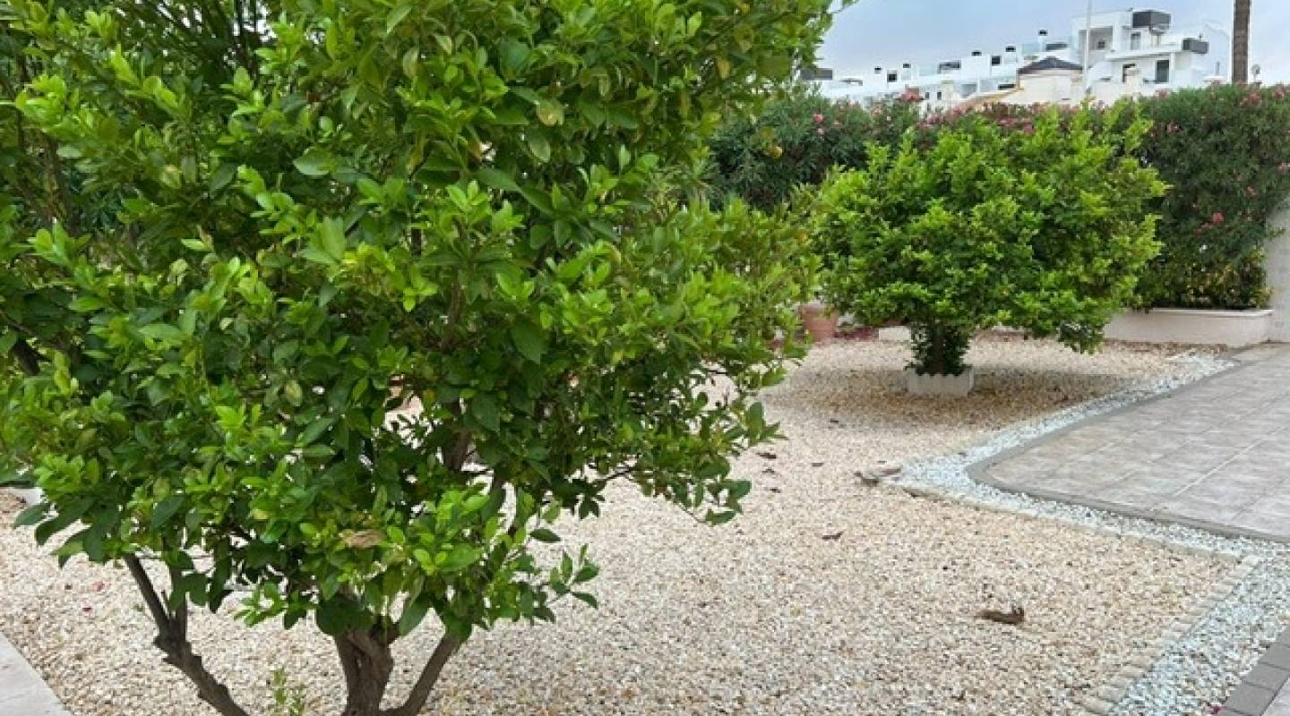 Resale - Villa  - Villamartin - Los Dolses