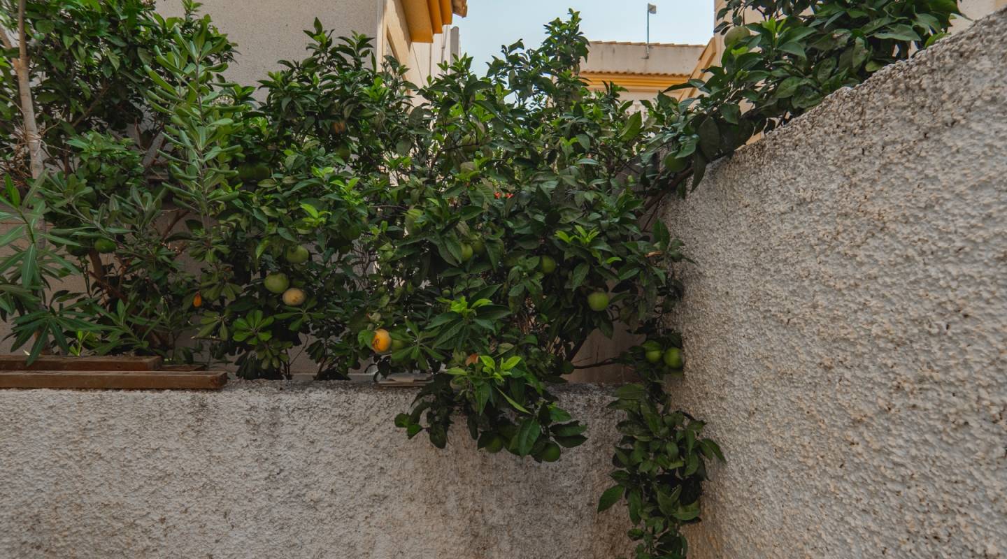 Revente - Villa - Ciudad Quesada