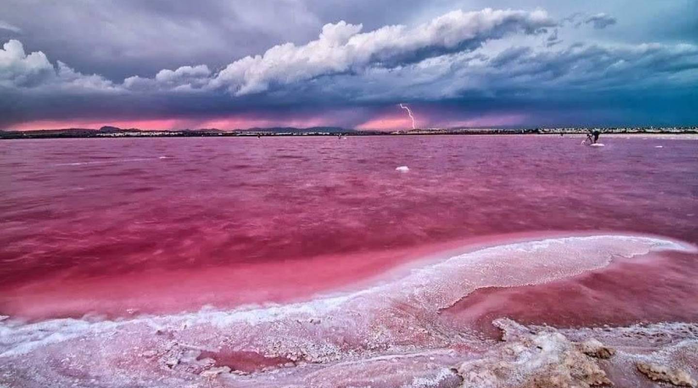 Neubau - Wohnung - Torrevieja