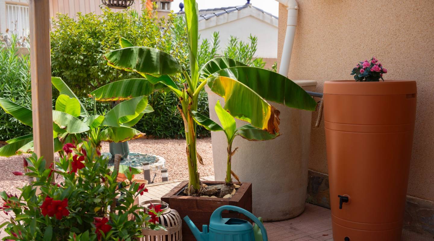 Återförsäljning - Villa - Ciudad Quesada - Town Center