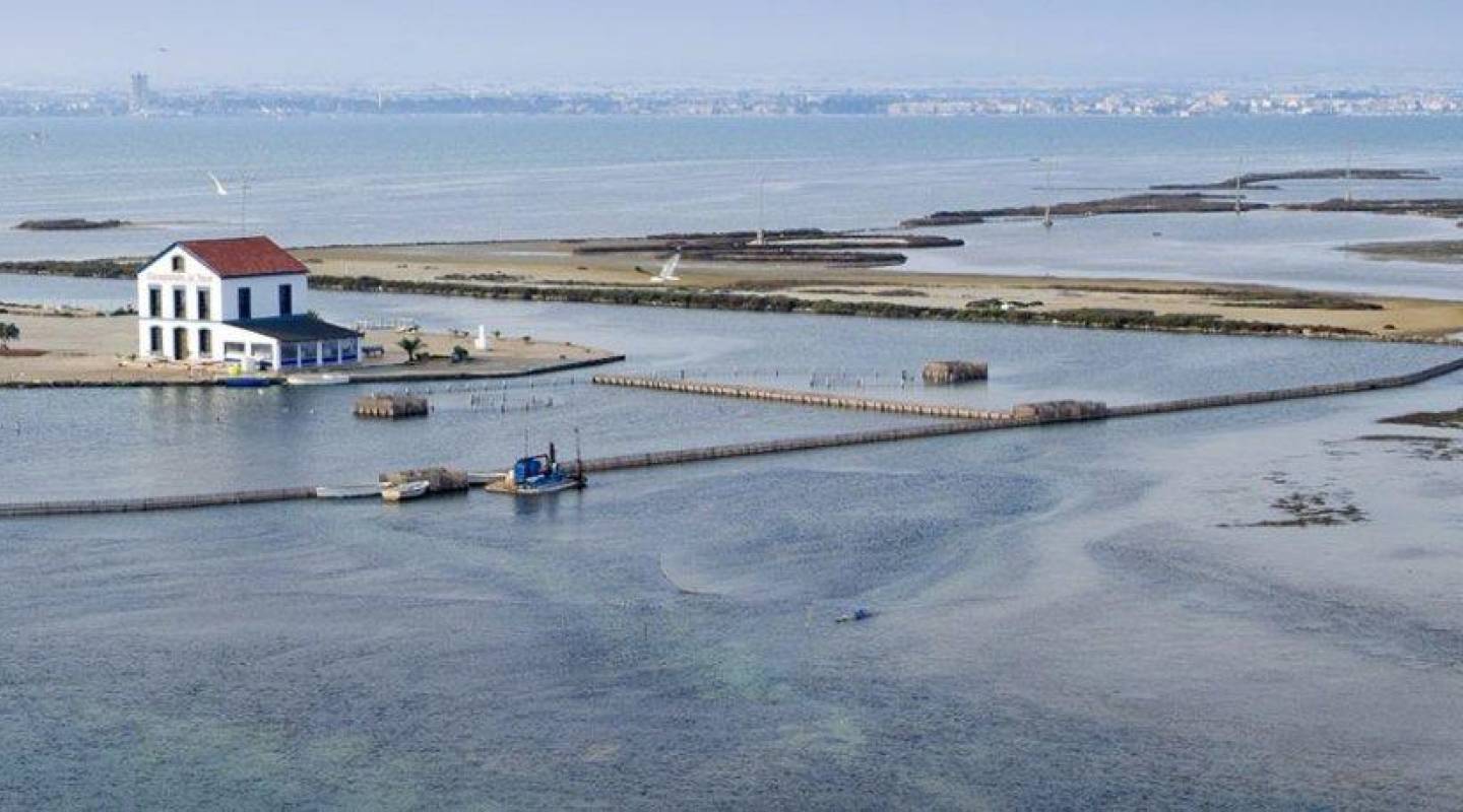 New Build - Villa  - San Pedro del Pinatar - Centro