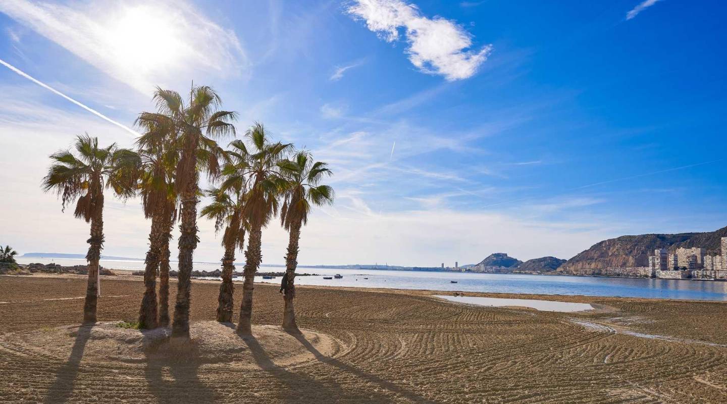 New Build - Villa  - Els Poblets - Partida Barranquets