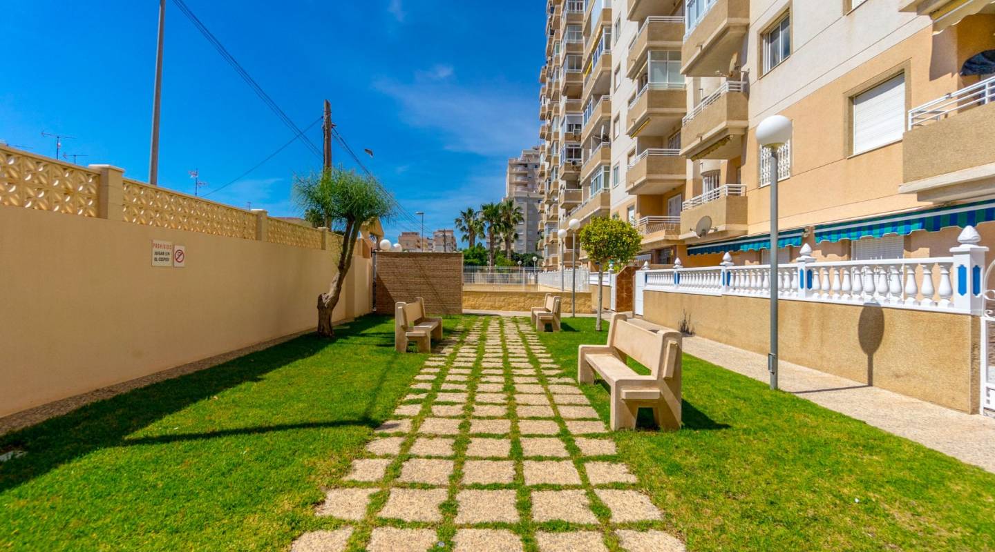 Wiederverkauf - Wohnung - Torrevieja - Centro