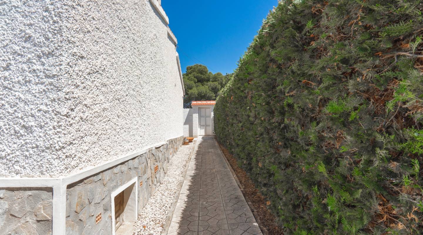 Återförsäljning - Villa - Ciudad Quesada - Town Center