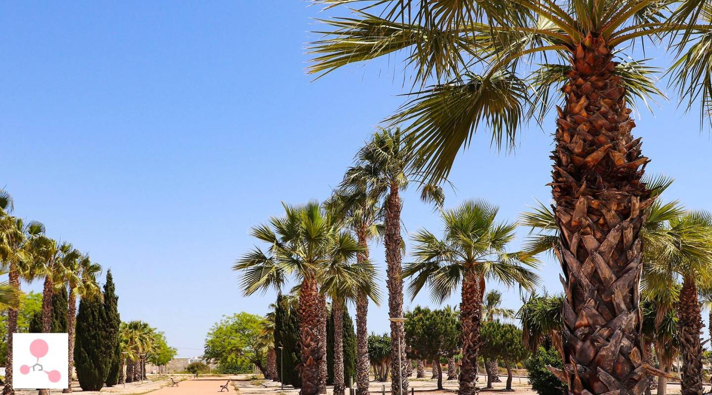 New Build - Villa  - San Fulgencio - La Escuera