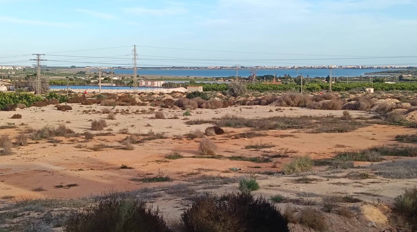 Återförsäljning - House - Detached Villa (4) - Los Montesinos - La Herrada