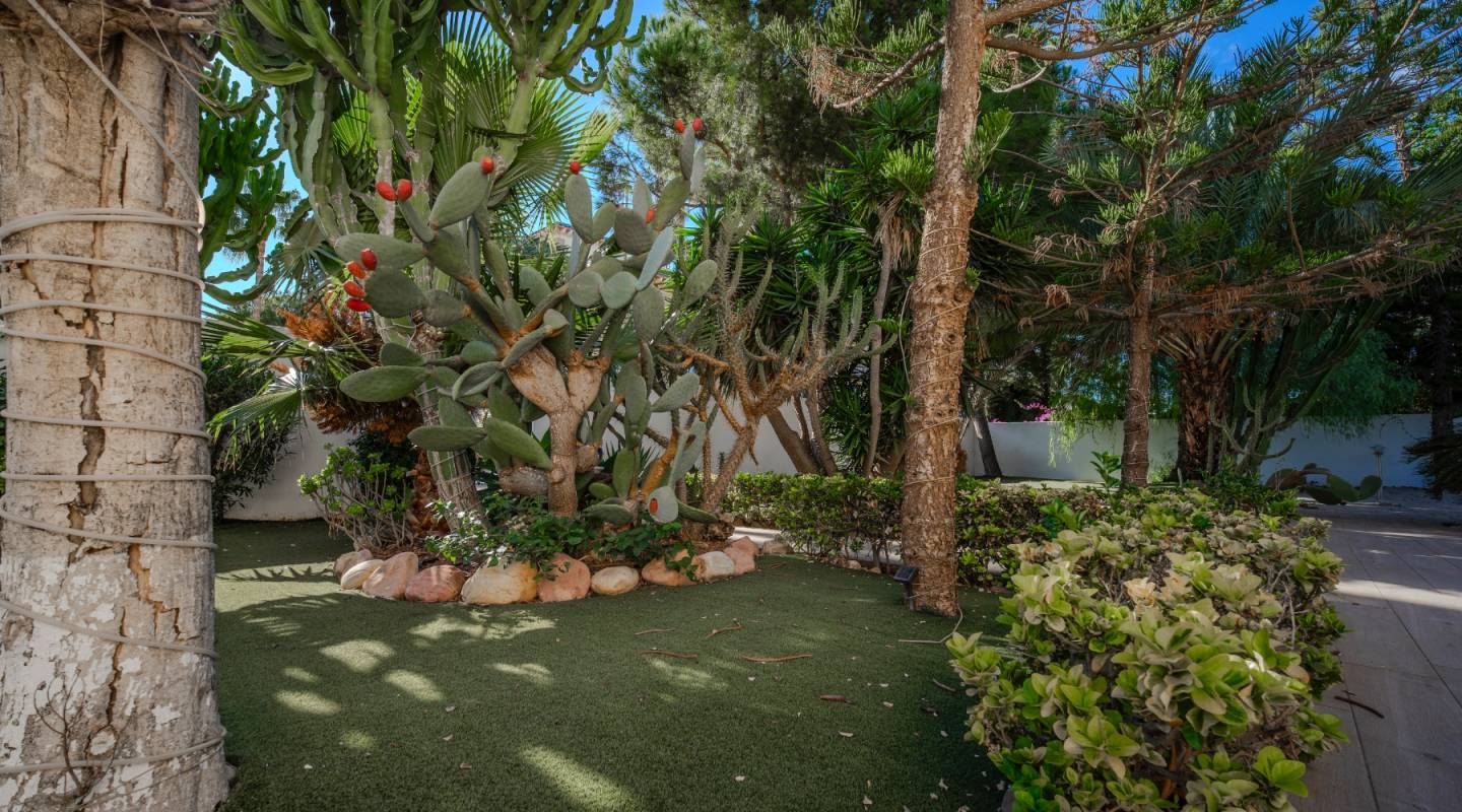 Resale - Villa  - Ciudad Quesada - Dona Pepa