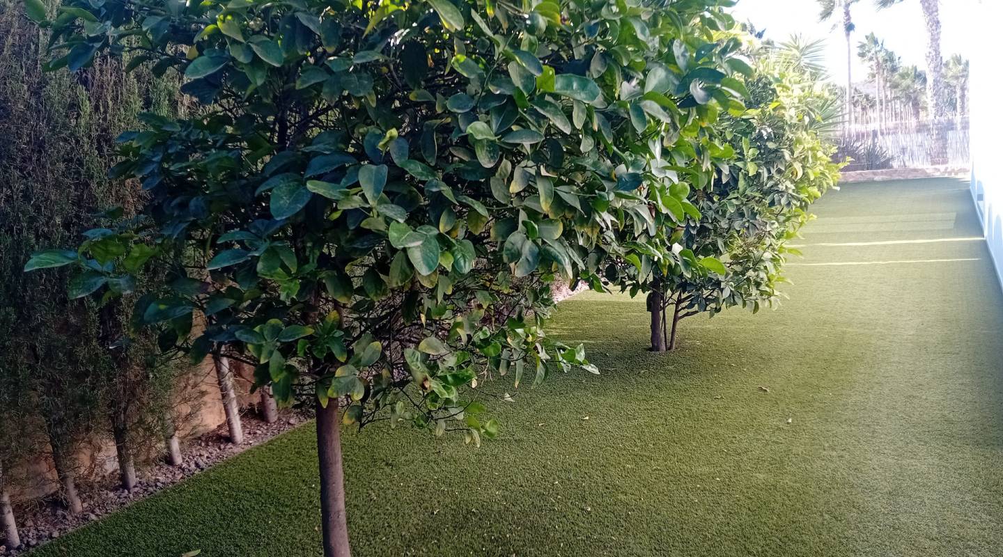 перепродажа - Detached Villa - Algorfa - La Finca Golf