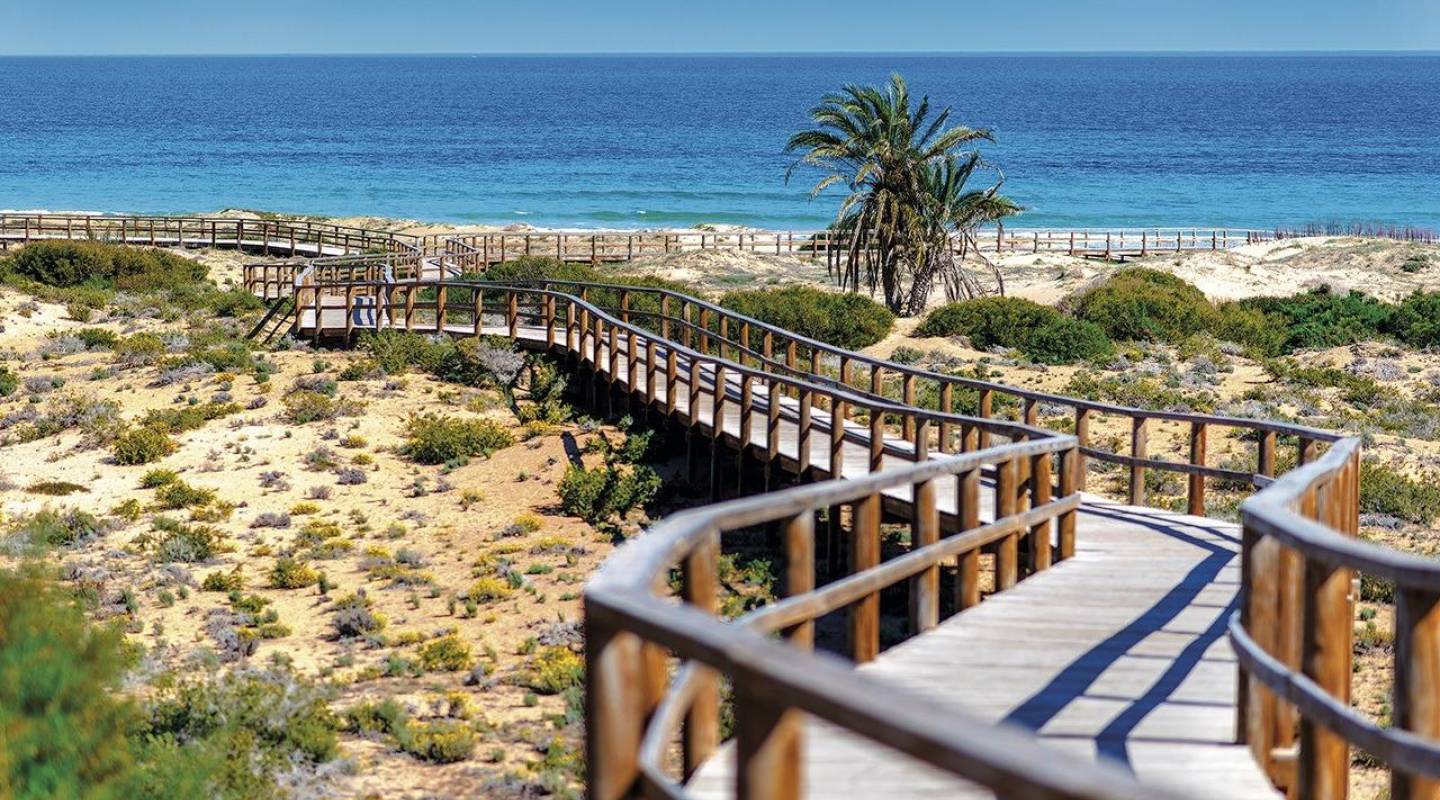 Nybyggeri - Penthouse - Monforte del Cid - Alenda Golf