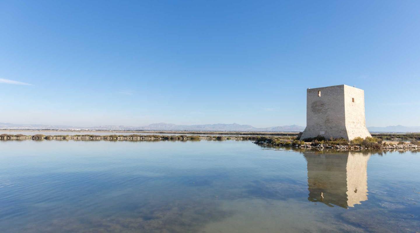 Nouvelle construction - Penthouse - Santa Pola - Estacion de autobuses