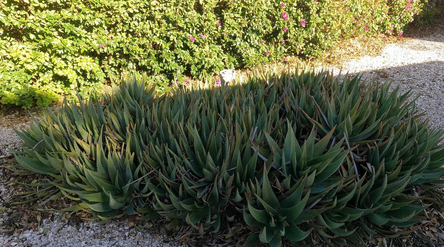 Venta - Country House - Orihuela