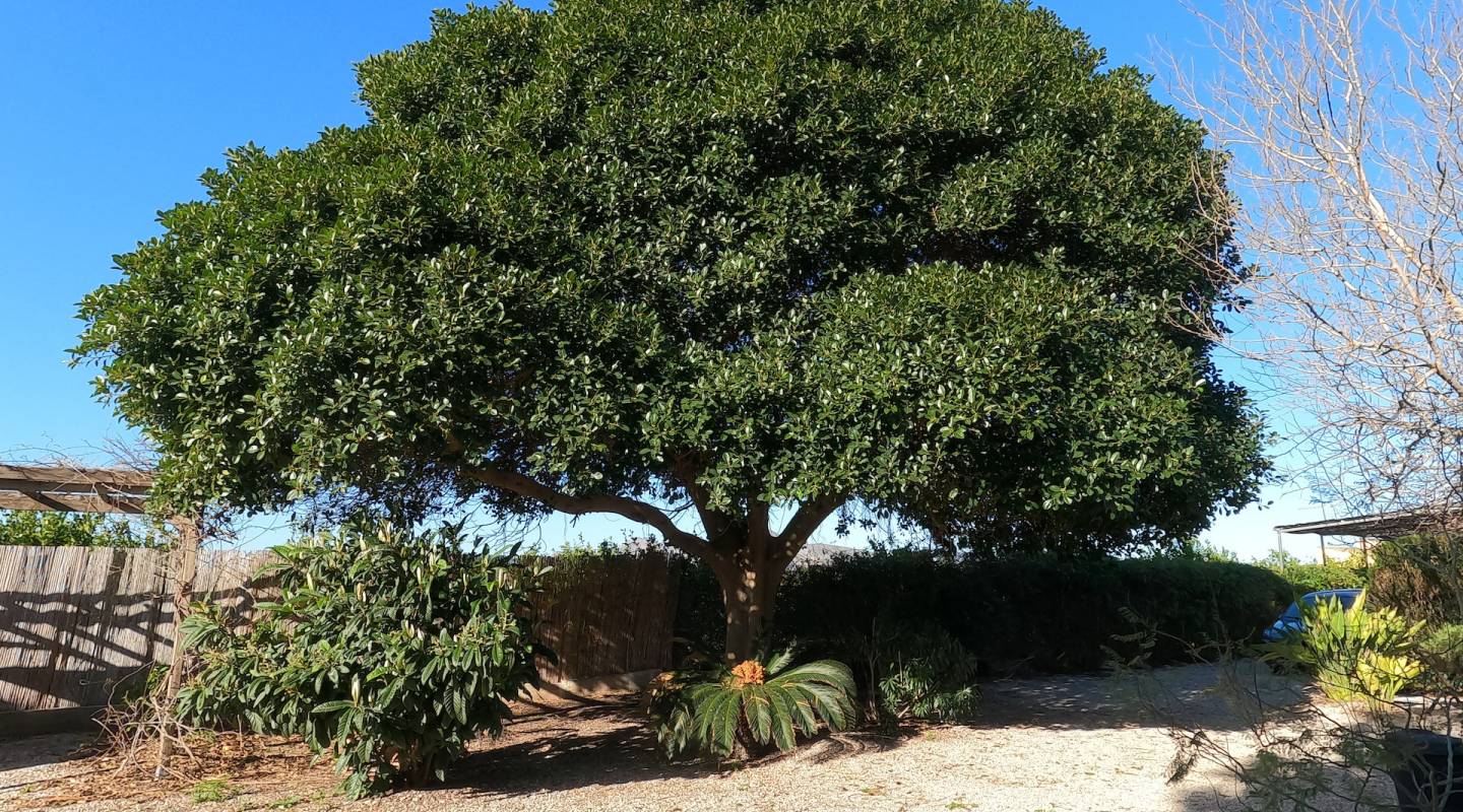 Venta - Country House - Orihuela