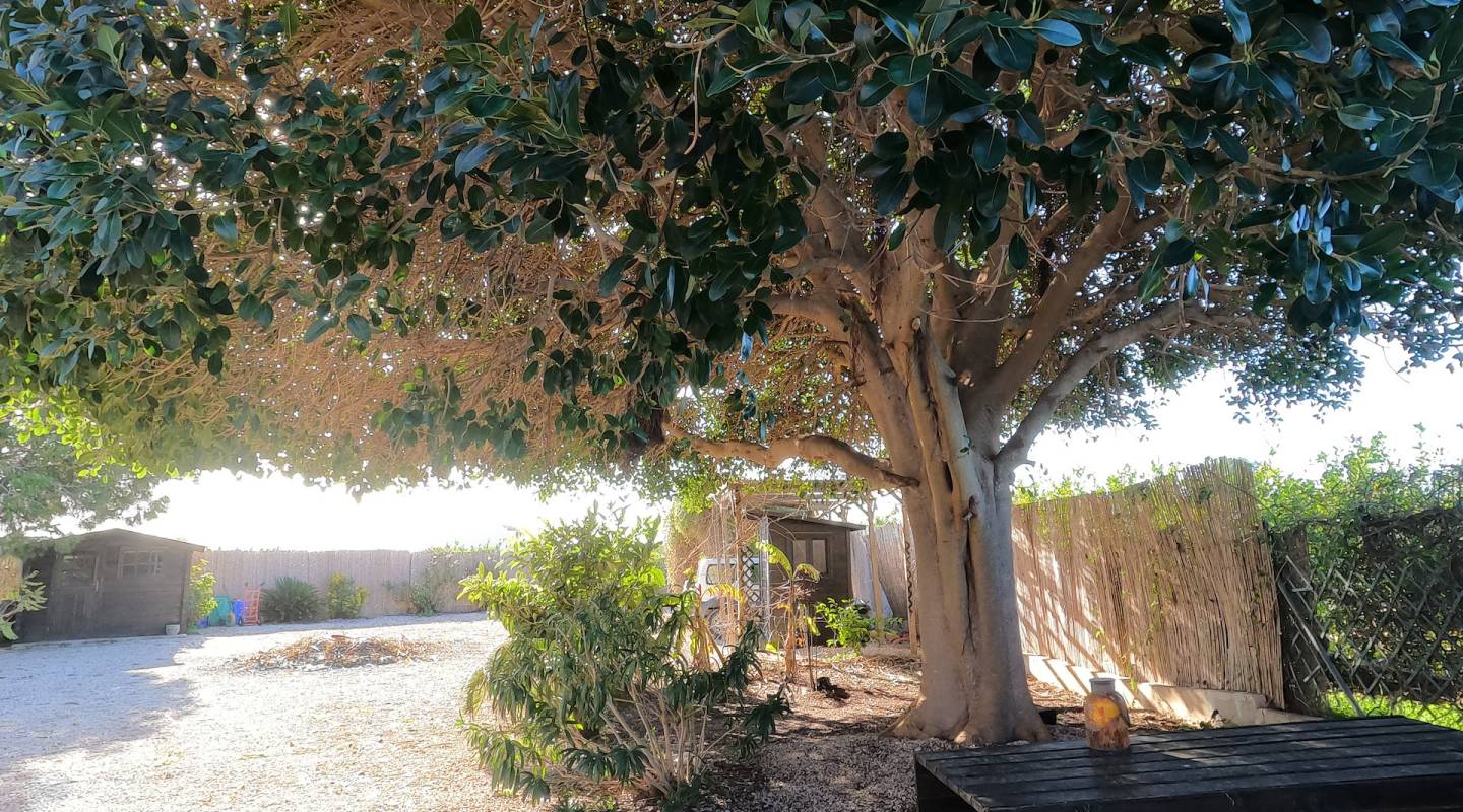 Venta - Country House - Orihuela