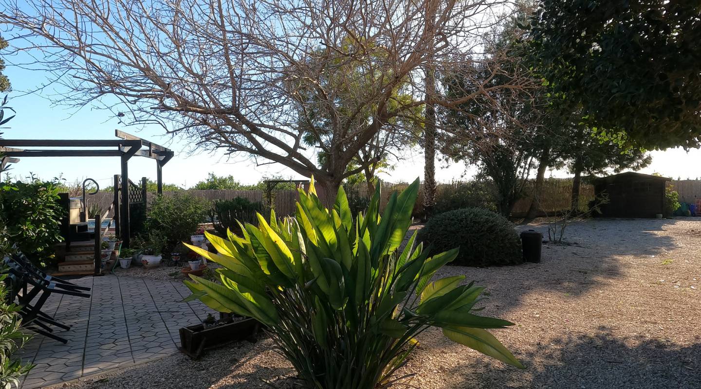 Venta - Country House - Orihuela