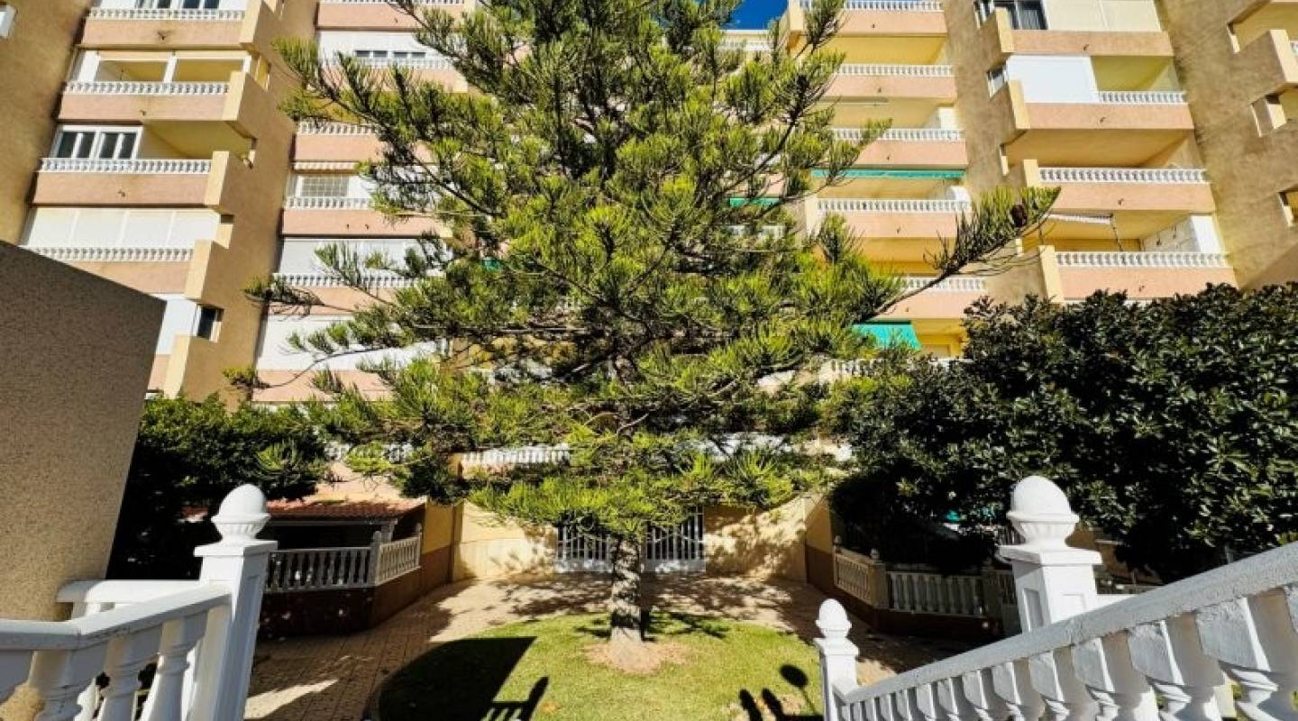 Resale - Penthouse - La Mata - Alanis