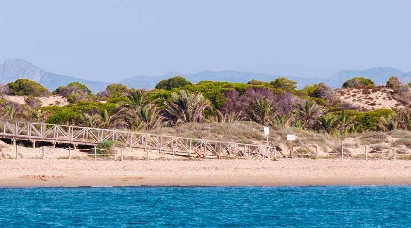 Nybyggeri - ferielejligheder - Guardamar del Segura - Pueblo