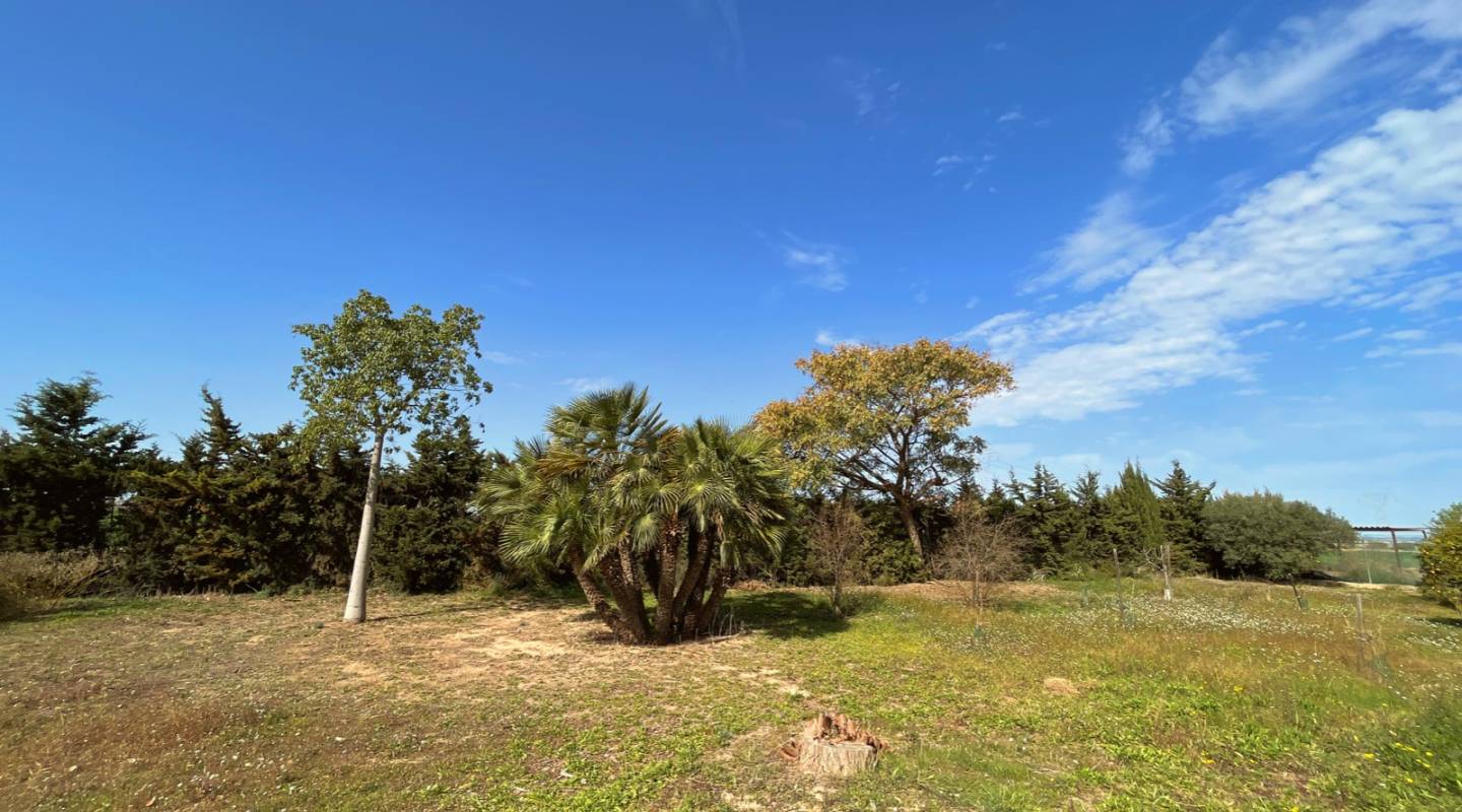 Resale - Finca - Los Alcazares