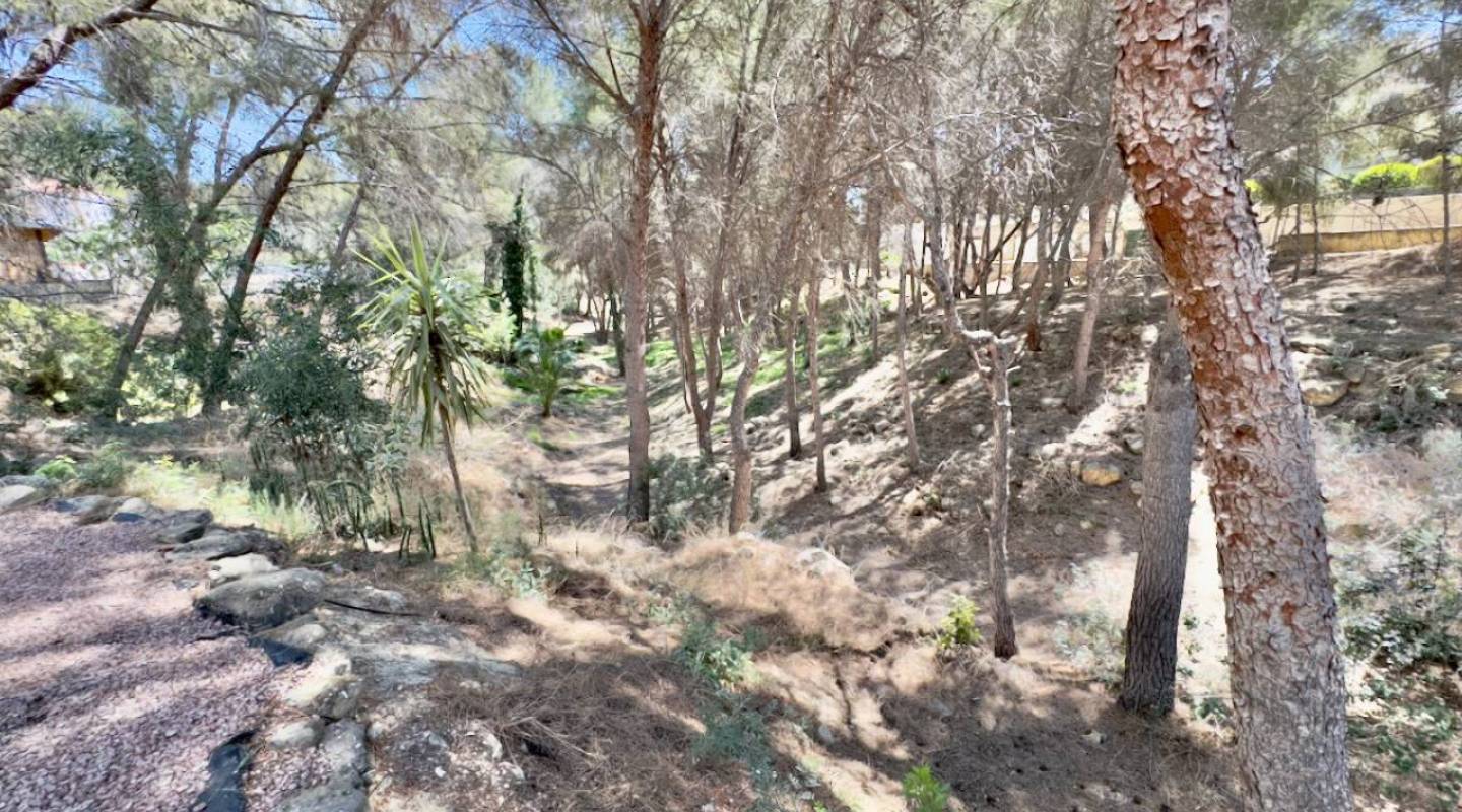 Resale - Villa  - Algorfa - La Finca Golf - Algorfa