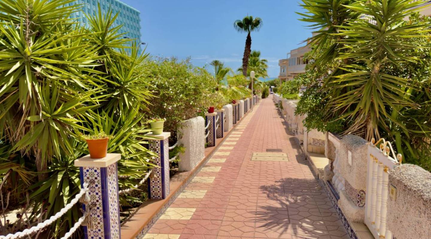 Wederverkoop - Villa - Guardamar del Segura