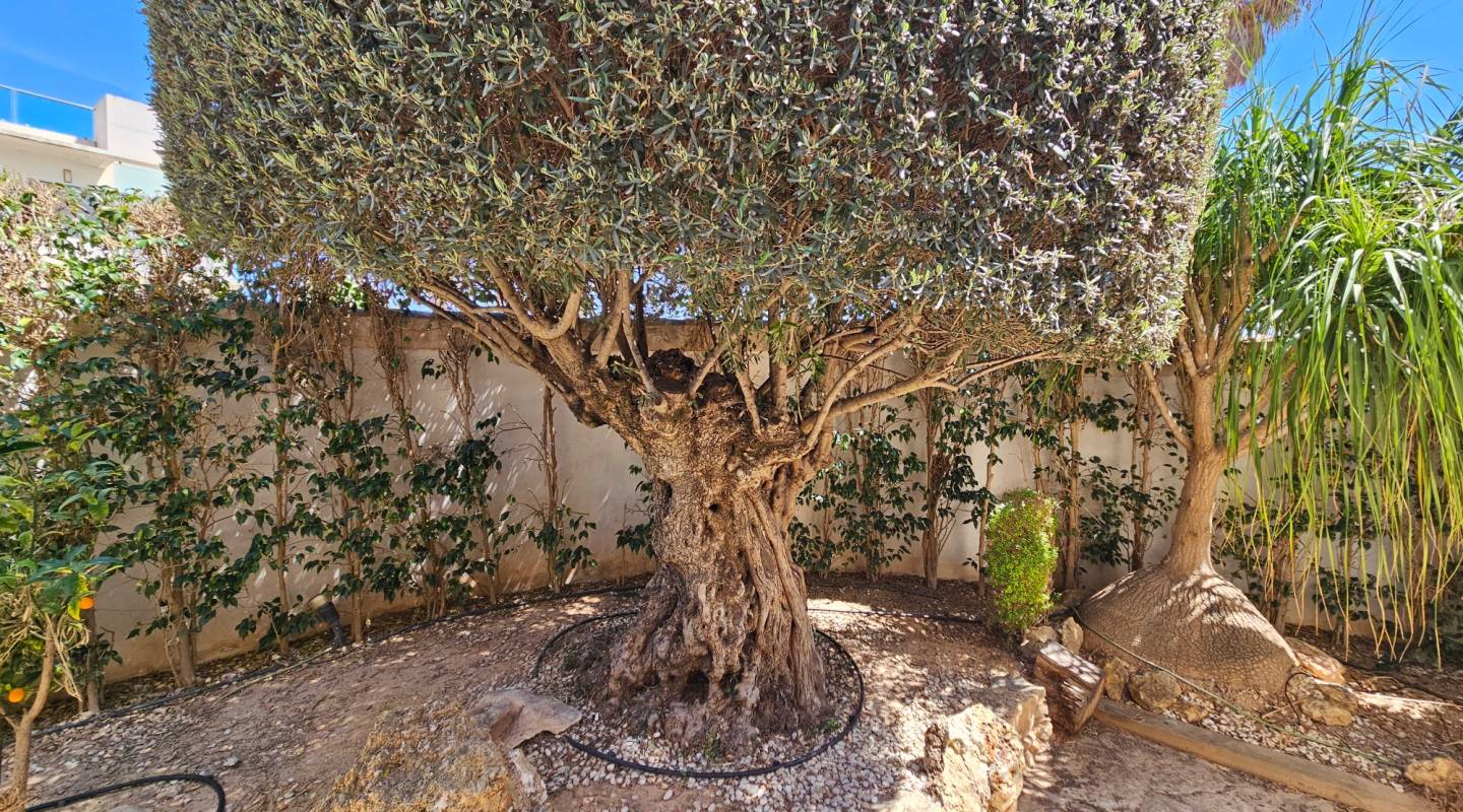 videresalg - Villa - Ciudad Quesada