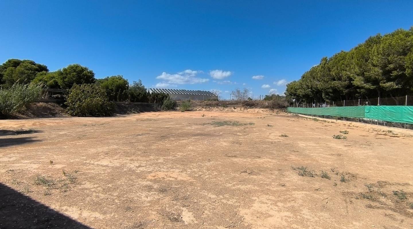 Resale - Finca - Benijofar - Alicante